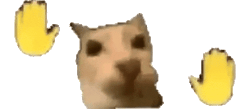 A cat that is vibin